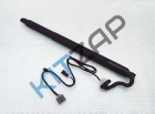 ������������ ������ ��������� ����� 