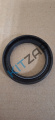 ������� ���������� ���� ���
